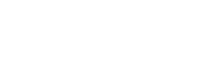 Logo Near