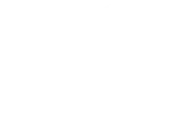 logo React