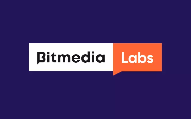 Cover for Case studie. Bitmedia Labs